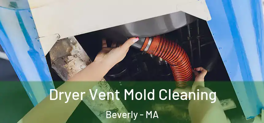  Dryer Vent Mold Cleaning Beverly - MA