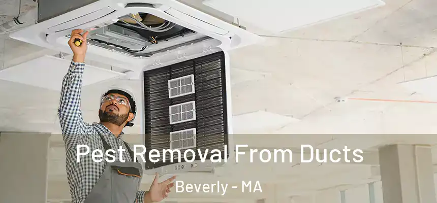  Pest Removal From Ducts Beverly - MA