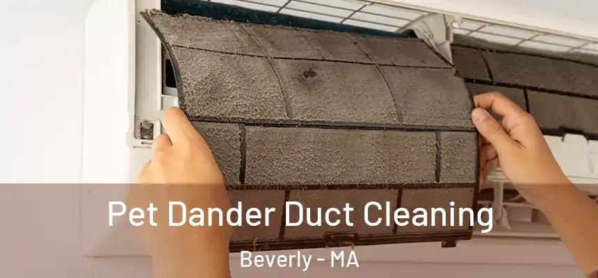  Pet Dander Duct Cleaning Beverly - MA