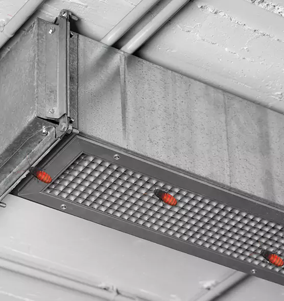 Affordable Insect Removal from Air Ducts in Beverly, MA