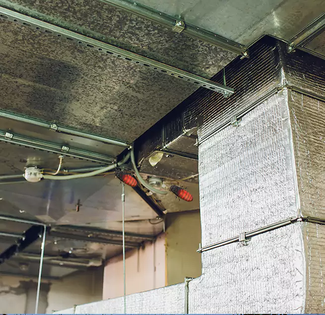 Why Homeowners & Businesses Trust Us in Beverly, MA?